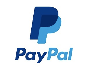 PayPal isimli şirketin kurumsal kimlik logo tasarımı