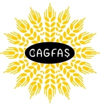 BAGFAŞ isimli tarım ve gübre şirketinin logo çalışması örneği