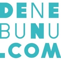 Denebunu isimli internet şirketinin logo çalışması örneği