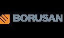 Borusan isimli şirketinin logo çalışması örneği