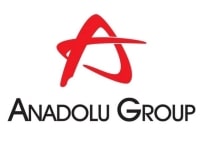 Anadolu Grubu isimli şirketinin logo çalışması örneği