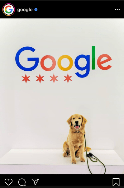 Google kurumsal kimlik sosyal medya tasarımı
